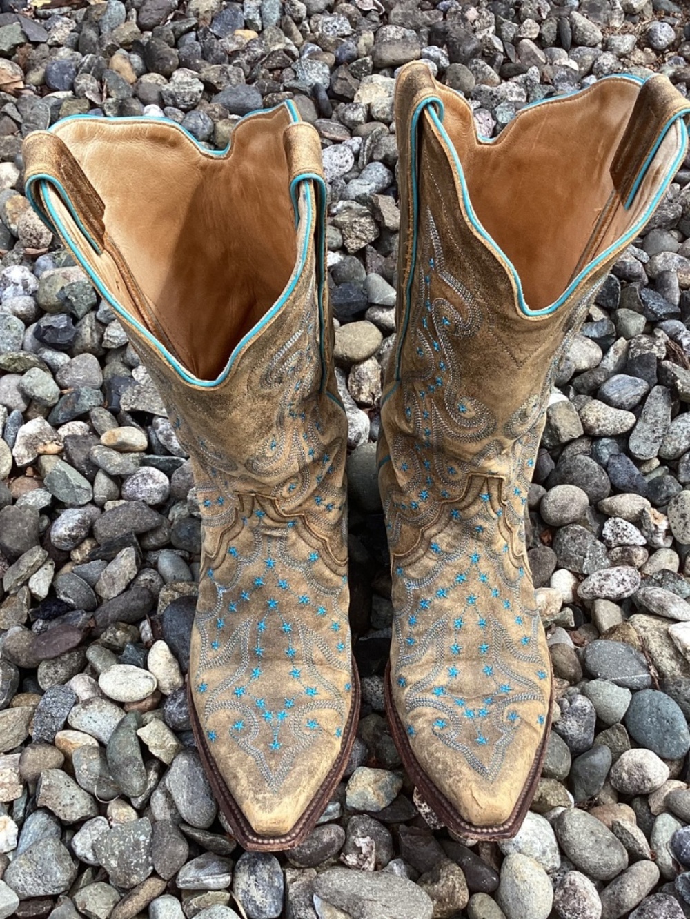 Old Gringo Outstanding Unique Small Blue Star Detailed Distressed Cowgirl Boots - Picture 7 of 16